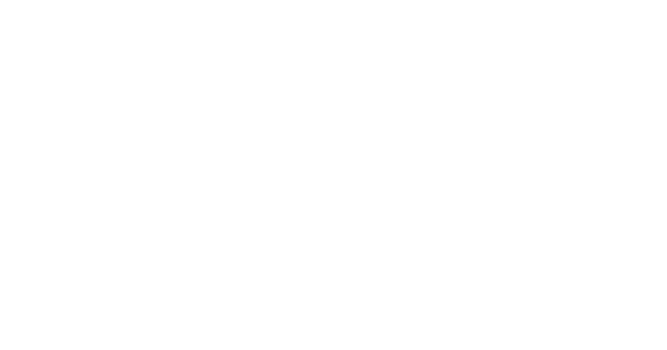 Chiropractic Cary NC Carolina Spine Specialists Logo